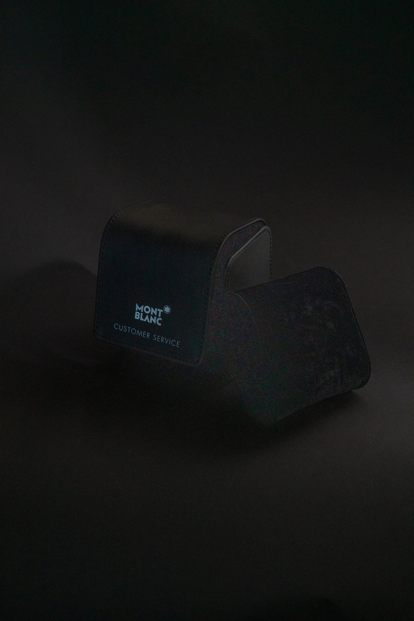 Mont Blanc Travel Pouch Case Transport Bag