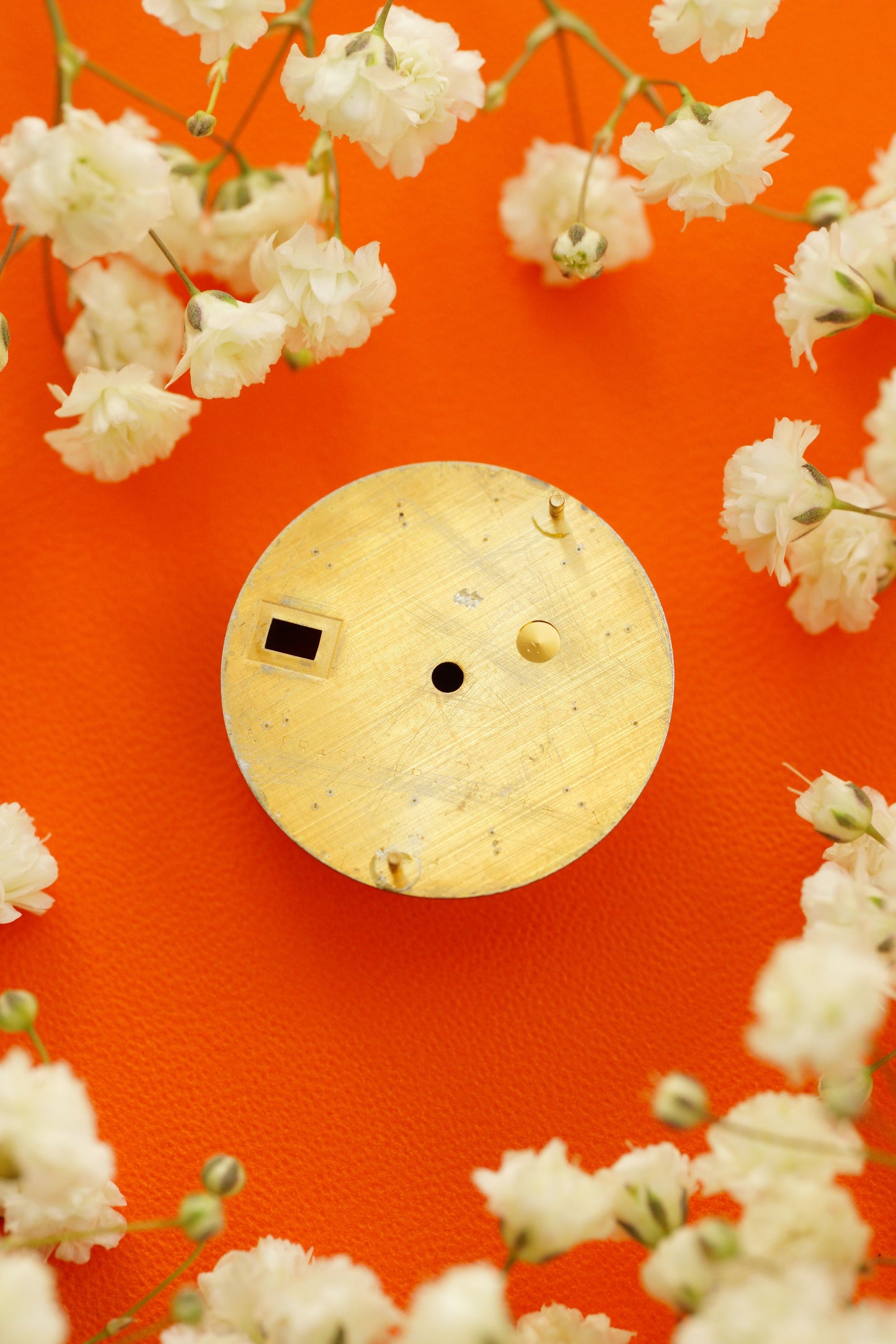 Rolex ,,Tropical Purple Faded’’ Violett Zifferblatt für Submariner 1680/8