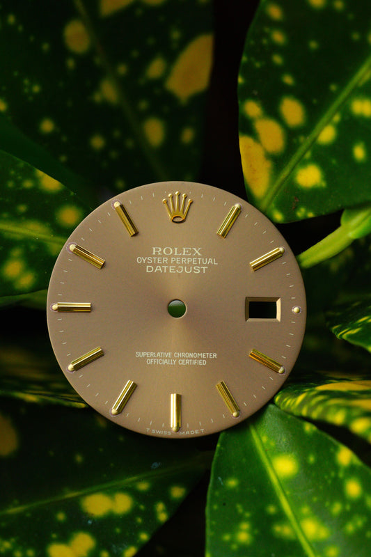 Rolex Taupe Dial Brown Bronze Havana for 36 mm Datejust 16013 | 16018 | 16233 | 16238 Tritium