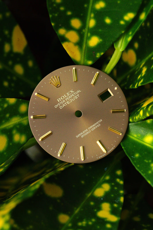 Rolex Taupe Dial Brown Bronze Havana for 36 mm Datejust 16013 | 16018 | 16233 | 16238 Tritium