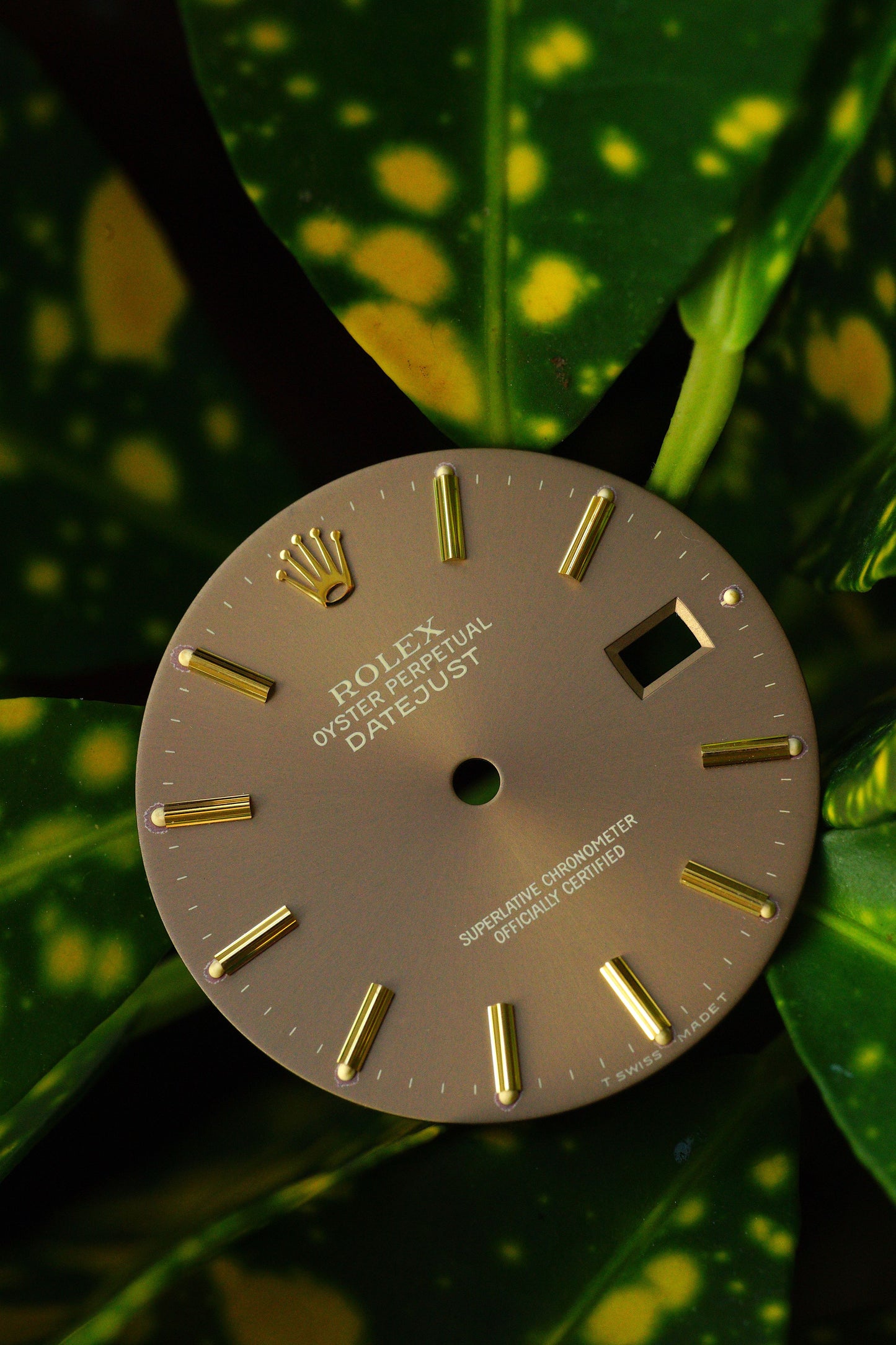 Rolex Taupe Dial Brown Bronze Havana for 36 mm Datejust 16013 | 16018 | 16233 | 16238 Tritium