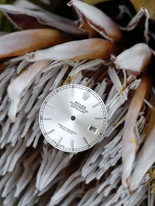 Rolex dial silver for Datejust 36mm 16234 | 16200 Luminova