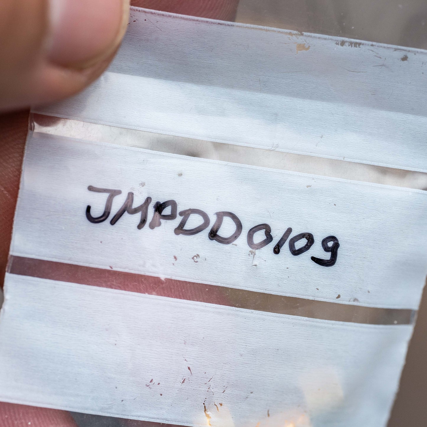 Rolex 18 kt yellow gold link for Day-Date 36 mm President bracelet 18238 / 18038