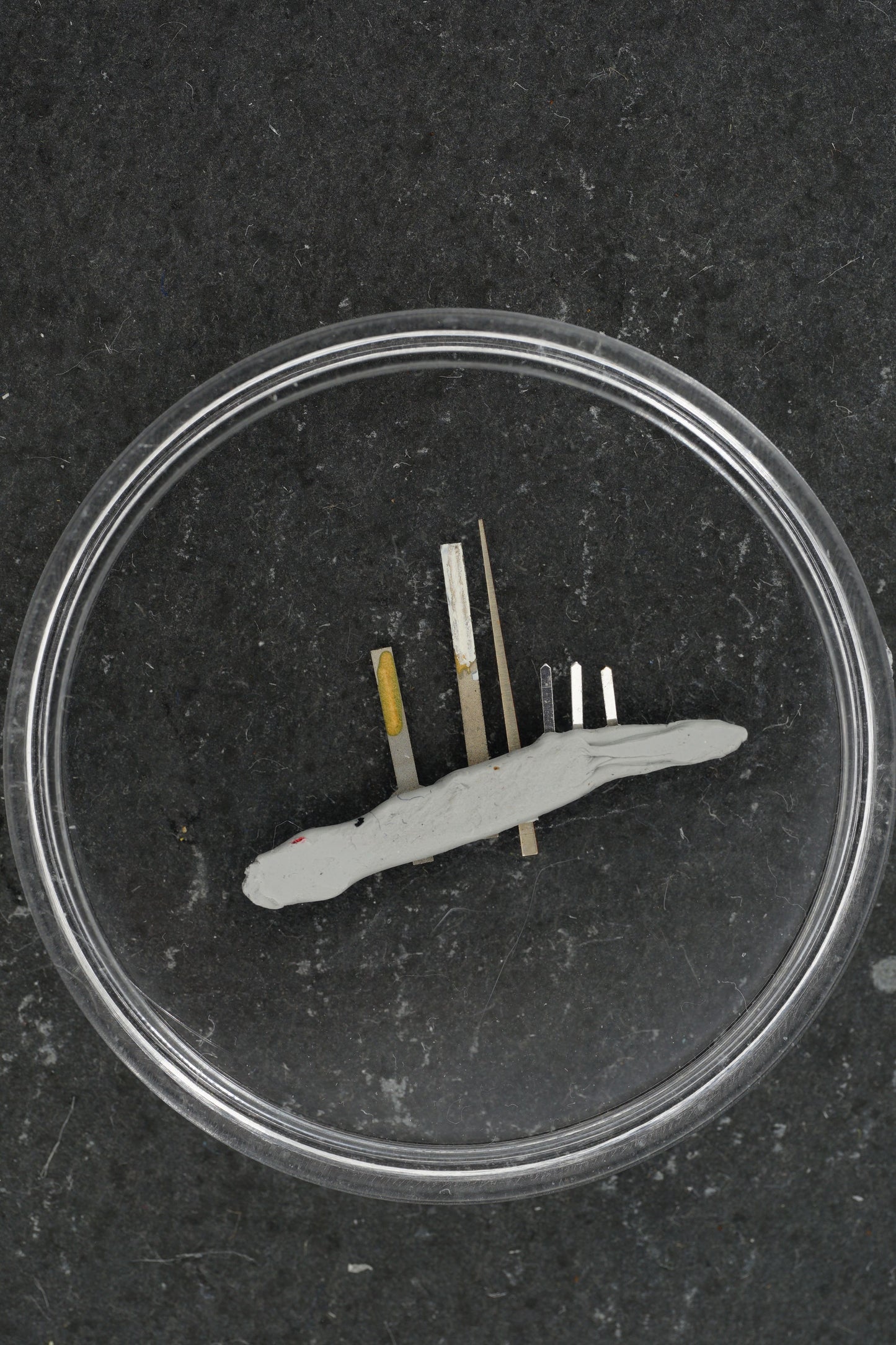 Tudor Zeigersatz für MonteCarlo Chronograph 94200 Tritium