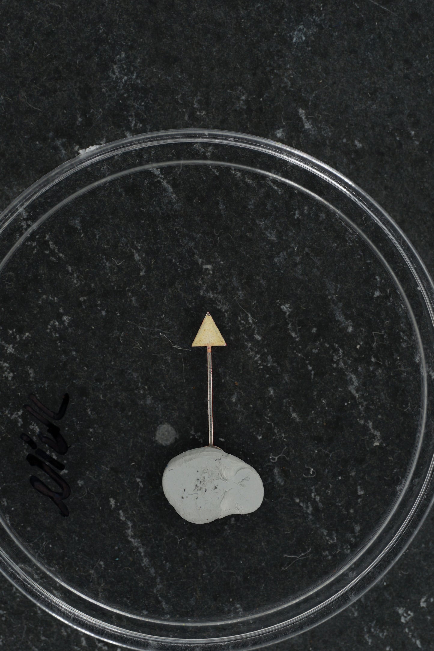 Rolex "All Red" 24 Stundenzeiger für GMT-Master 1675 Tritium