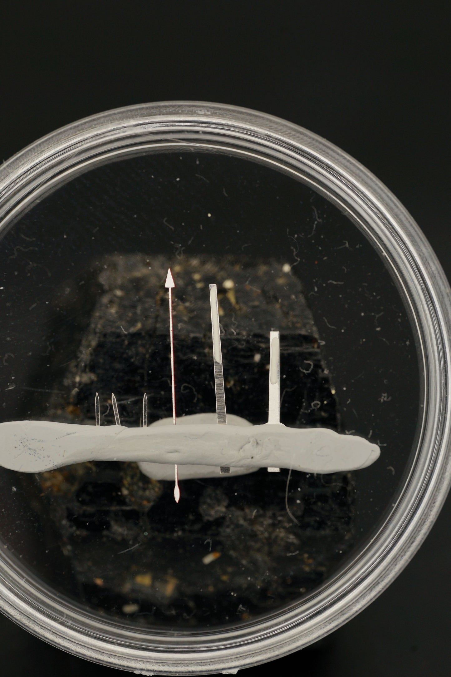 Tudor Handset for Chronograph Tiger Prince 79260 | 79270 | 79280 | 79160 Tritium