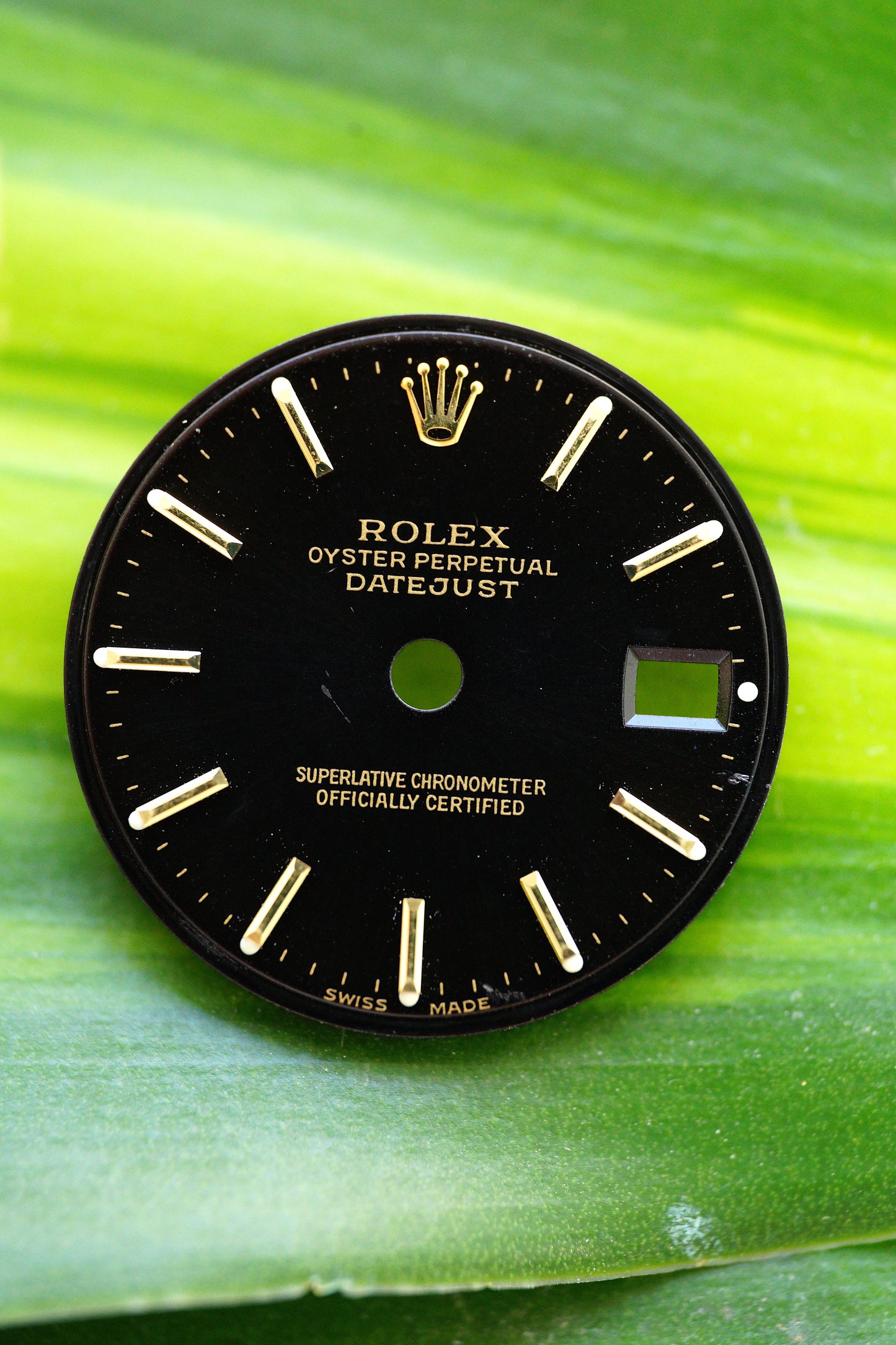 Rolex Dial black ,,Black Dial'' for Lady Datejust 26 mm Superluminova